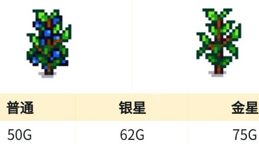 星露谷梦物语夏季种什么赚钱星露谷夏季赚钱农作物介绍