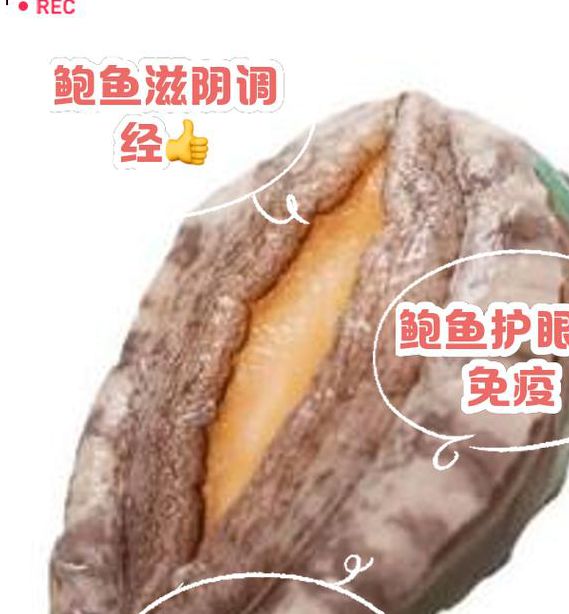 鲍鱼蜜芽高效养殖解决方案:如何实现产量与品质双提升? 鲍鱼蜜芽高效养殖解决方案:如何实现产量与品质双提升?