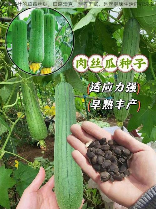 草莓丝瓜家庭种植全攻略:5大误区避坑+7个窍门提升产量与口感 草莓丝瓜家庭种植全攻略:5大误区避坑+7个窍门提升产量与口感
