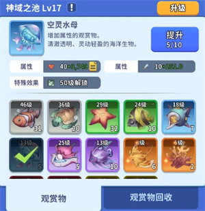 探秘猫之大陆：这些隐藏建筑如何让玩家战力飙升？