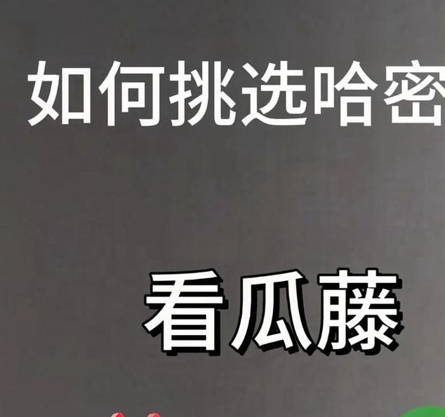哈密瓜视频App深度解析:10个权威评测不可忽视的懂你更多功能亮点 哈密瓜视频App深度解析:10个权威评测不可忽视的懂你更多功能亮点