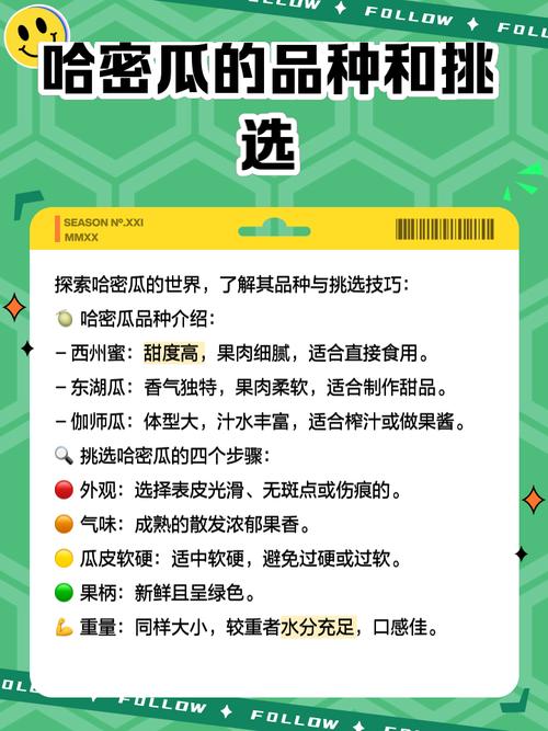 哈密瓜视频App深度解析:10个权威评测不可忽视的懂你更多功能亮点 哈密瓜视频App深度解析:10个权威评测不可忽视的懂你更多功能亮点