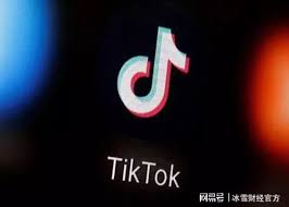 如何不下载APP也能畅享海量短视频？揭秘免费网页入口TikTok轻量版新玩法