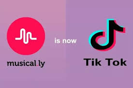 如何不下载APP也能畅享海量短视频？揭秘免费网页入口TikTok轻量版新玩法