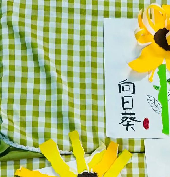 向日葵Combo2.夜间高效学习法:揭秘深夜潜能激发的5大科学技巧 向日葵Combo2.夜间高效学习法:揭秘深夜潜能激发的5大科学技巧