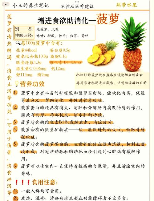 菠萝视频中文版高效解决方案:独家功能解析与用户增长秘诀 菠萝视频中文版高效解决方案:独家功能解析与用户增长秘诀