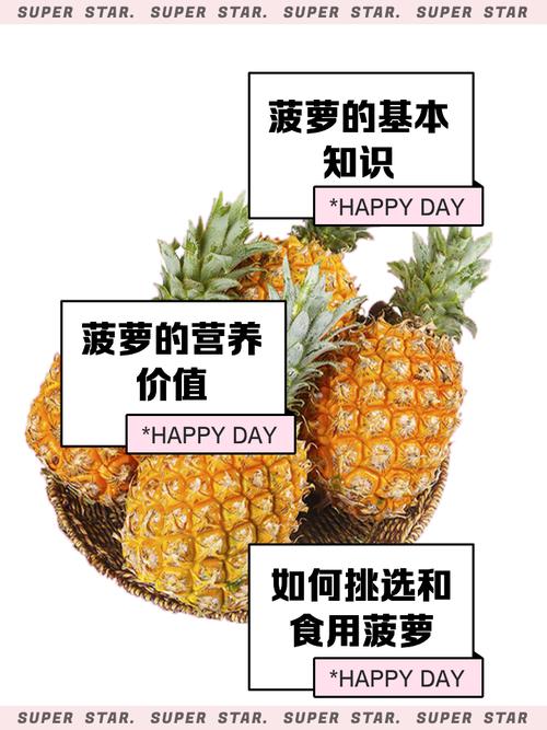 菠萝视频中文版高效解决方案:独家功能解析与用户增长秘诀 菠萝视频中文版高效解决方案:独家功能解析与用户增长秘诀