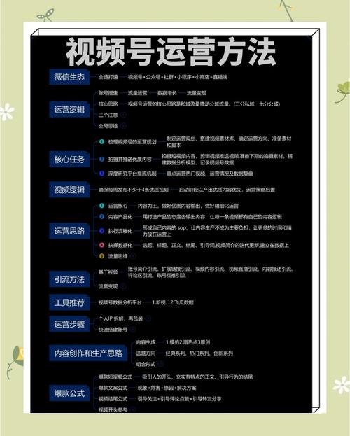 2025年玉米传媒视频运营秘籍:15个新手必看的爆款创作技巧(资深从业者亲授) 2025年玉米传媒视频运营秘籍:15个新手必看的爆款创作技巧(资深从业者亲授)