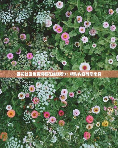 2025年野花社区免费观影指南:8部自然科普纪录片在线观看攻略 2025年野花社区免费观影指南:8部自然科普纪录片在线观看攻略