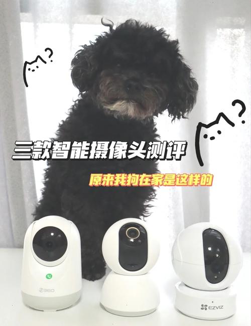 小狗看看 vs 传统监控器:智能养宠设备哪个更适合新手?深度对比评测 小狗看看 vs 传统监控器:智能养宠设备哪个更适合新手?深度对比评测