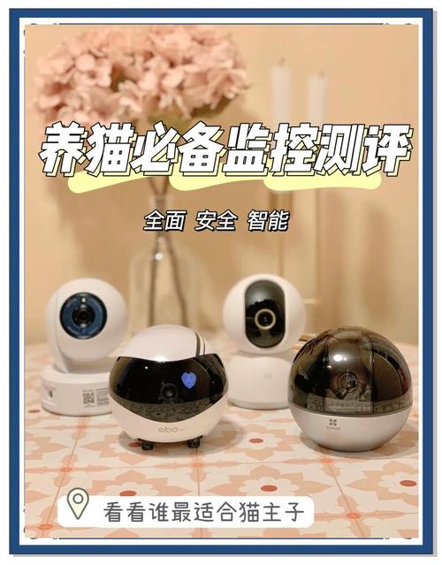 小狗看看 vs 传统监控器:智能养宠设备哪个更适合新手?深度对比评测 小狗看看 vs 传统监控器:智能养宠设备哪个更适合新手?深度对比评测