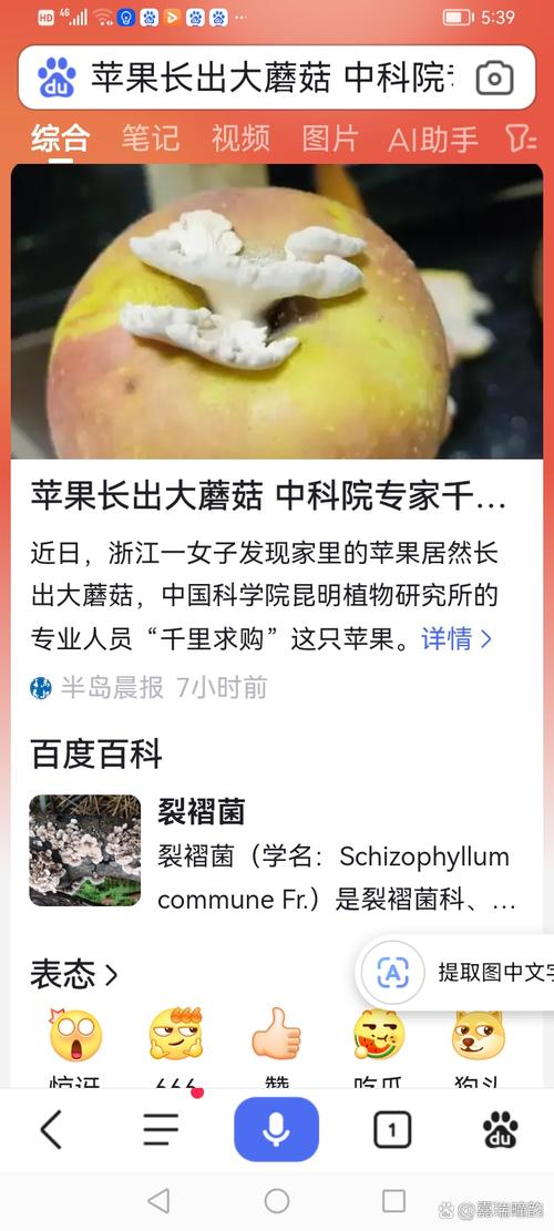 苹果手机如何实现一天观看25次蘑菇视频?免费适配技巧大揭秘! 苹果手机如何实现一天观看25次蘑菇视频?免费适配技巧大揭秘!