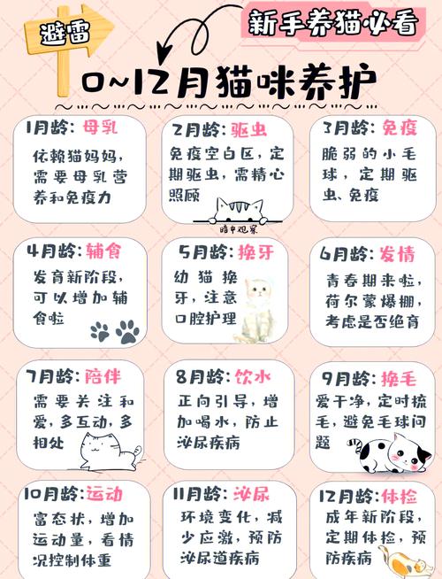 猫咪社区www在线资源推荐:10大实用功能助你科学养猫,新手必看攻略 猫咪社区www在线资源推荐:10大实用功能助你科学养猫,新手必看攻略
