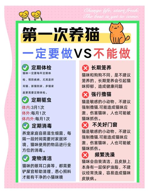 猫咪社区www在线资源推荐:10大实用功能助你科学养猫,新手必看攻略 猫咪社区www在线资源推荐:10大实用功能助你科学养猫,新手必看攻略