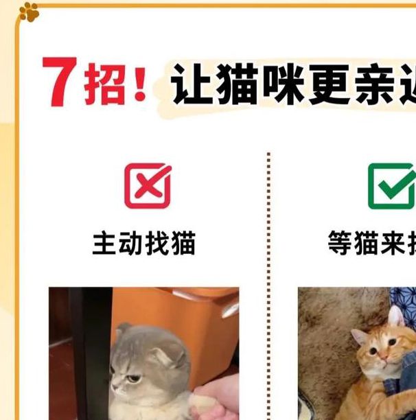 猫咪视频1.3.安卓版深度解析:3大隐藏功能+独家优化技巧,助你玩转萌宠剪辑 猫咪视频1.3.安卓版深度解析:3大隐藏功能+独家优化技巧,助你玩转萌宠剪辑