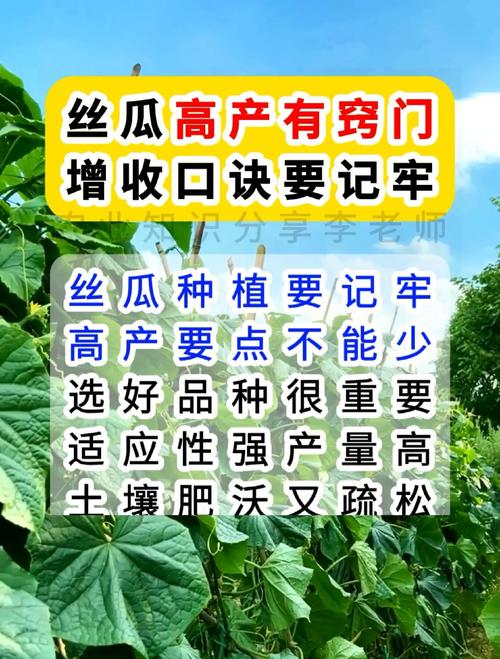 丝瓜草莓芭蕉向日葵绿巨人芭乐免费种植全攻略:揭秘5种作物高产技巧与资源整合方案 丝瓜草莓芭蕉向日葵绿巨人芭乐免费种植全攻略:揭秘5种作物高产技巧与资源整合方案
