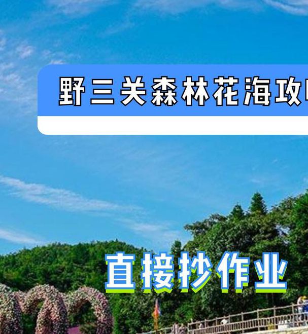 5部高清自然风光纪录片推荐:野花主题免费中文资源全解析 5部高清自然风光纪录片推荐:野花主题免费中文资源全解析