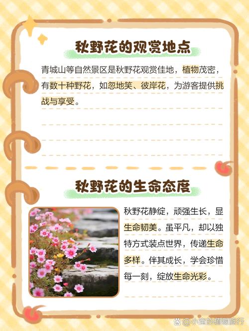 5部高清自然风光纪录片推荐:野花主题免费中文资源全解析 5部高清自然风光纪录片推荐:野花主题免费中文资源全解析
