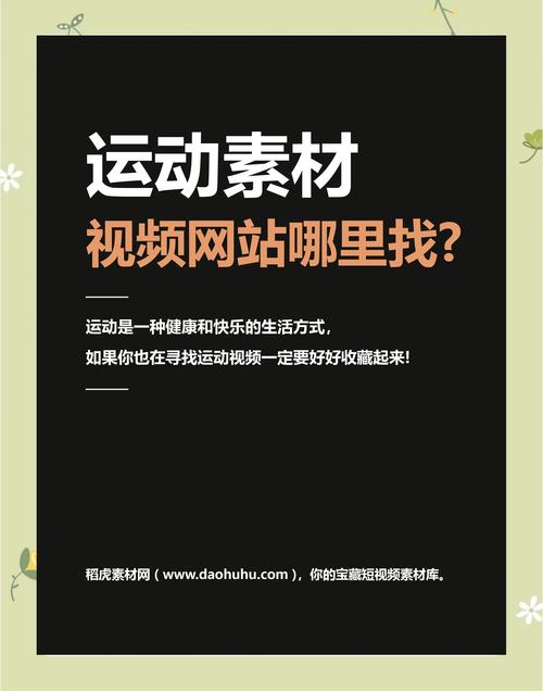 多人运动网站入口深度解析:团队协作与高效训练的精准定位技巧 多人运动网站入口深度解析:团队协作与高效训练的精准定位技巧