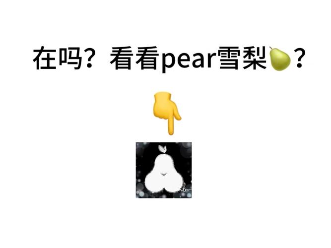 雪梨视频App真的能免费追剧?揭秘三大隐藏功能与资源获取技巧! 雪梨视频App真的能免费追剧?揭秘三大隐藏功能与资源获取技巧!