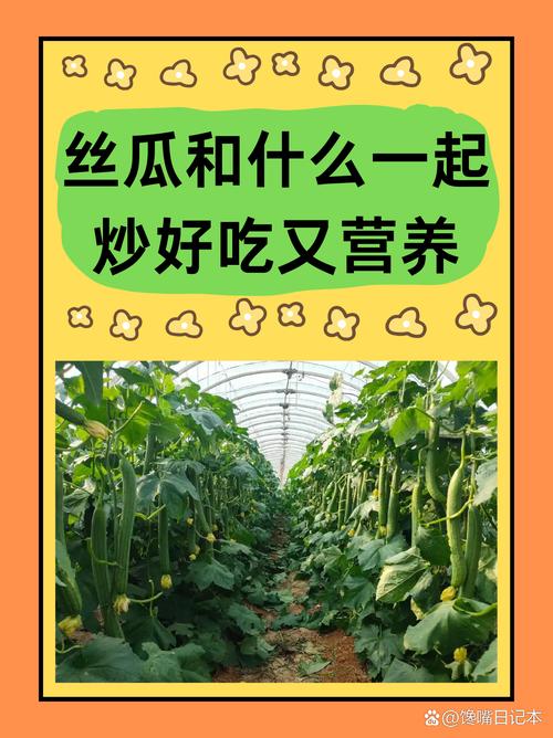 丝瓜草莓秋葵榴莲家庭种植全攻略:农科院专家推荐的5大高产技巧与营养搭配法 丝瓜草莓秋葵榴莲家庭种植全攻略:农科院专家推荐的5大高产技巧与营养搭配法