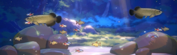 鱼我一起：水愈时光如何通过水族箱养成提升专注力？高效解决方案揭秘