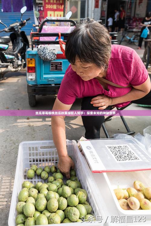 麻豆绿巨人丝瓜草莓视频背后的神秘种植技巧,为何让农户收入翻倍? 麻豆绿巨人丝瓜草莓视频背后的神秘种植技巧,为何让农户收入翻倍?