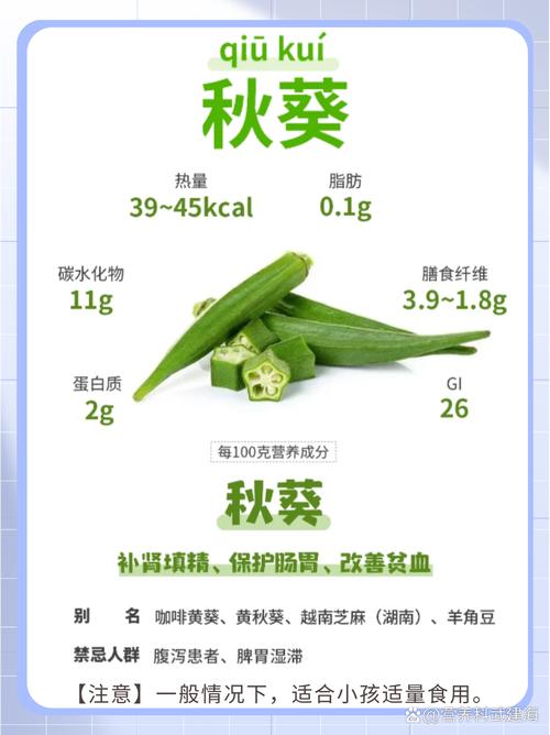 秋葵小蝌蚪榴莲富二代丝瓜安卓版深度解析:如何打造健康饮食高效解决方案? 秋葵小蝌蚪榴莲富二代丝瓜安卓版深度解析:如何打造健康饮食高效解决方案?