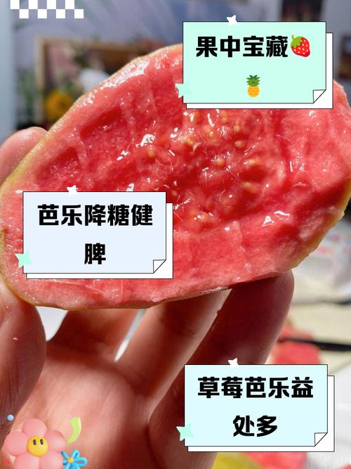 芭乐小猪幸福宝丝瓜草莓免费资源:5种实用技巧教你高效获取健康水果 芭乐小猪幸福宝丝瓜草莓免费资源:5种实用技巧教你高效获取健康水果