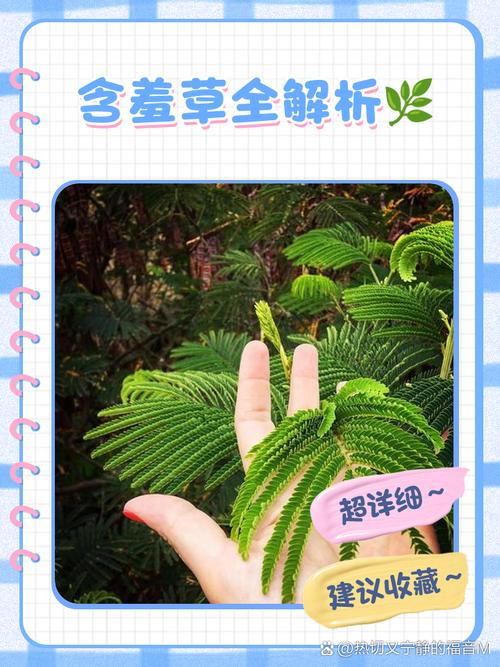 含羞草实验室1.2.免费版VS付费版:植物科研工具如何选?功能实测与数据对比解析 含羞草实验室1.2.免费版VS付费版:植物科研工具如何选?功能实测与数据对比解析