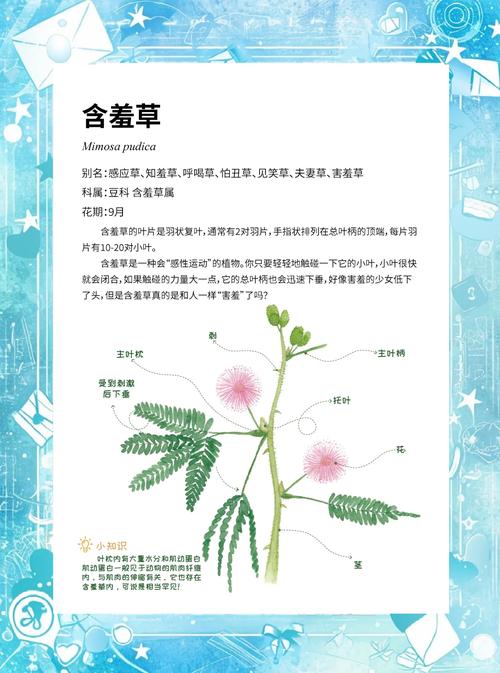 含羞草实验室1.2.免费版VS付费版:植物科研工具如何选?功能实测与数据对比解析 含羞草实验室1.2.免费版VS付费版:植物科研工具如何选?功能实测与数据对比解析