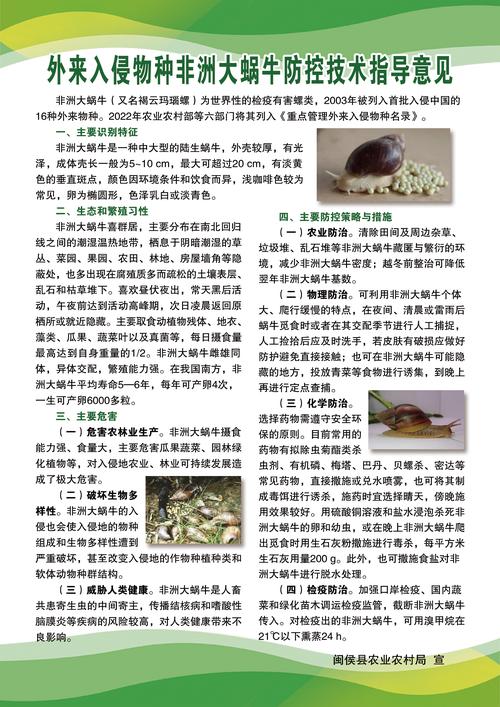 怪兽入侵如何应对?专家解析5大防御策略与实战案例 怪兽入侵如何应对?专家解析5大防御策略与实战案例