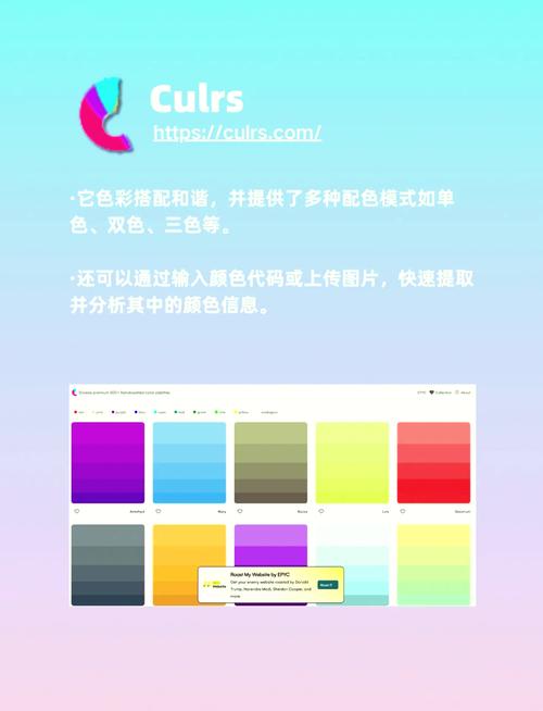 茄子APP网站色彩搭配全攻略:掌握色板应用技巧提升视觉吸引力 茄子APP网站色彩搭配全攻略:掌握色板应用技巧提升视觉吸引力