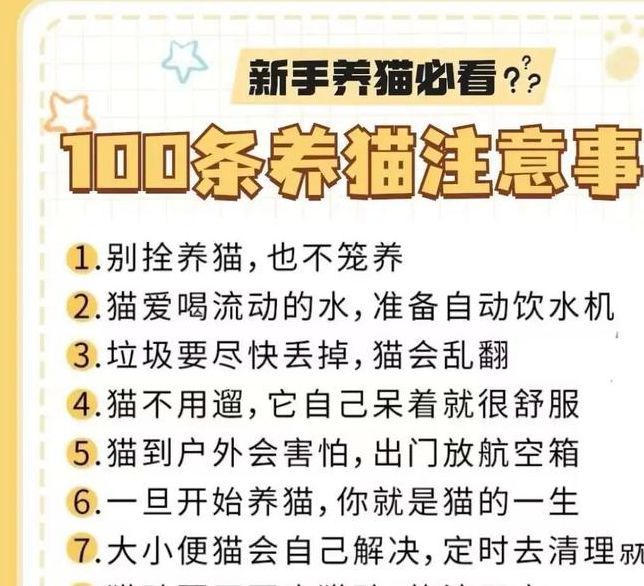 2025年最新猫咪养护知识,你真的做对了吗? 2025年最新猫咪养护知识,你真的做对了吗?