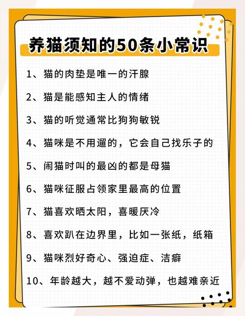 2025年最新猫咪养护知识,你真的做对了吗? 2025年最新猫咪养护知识,你真的做对了吗?