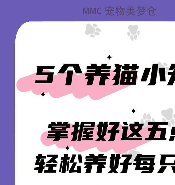 2025年最新猫咪养护知识,你真的做对了吗? 2025年最新猫咪养护知识,你真的做对了吗?