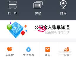 支付宝驾驶证查询全攻略：如何快速掌握电子证照管理技巧？