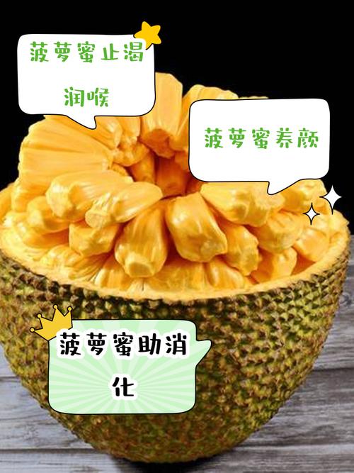 菠萝蜜视频App免费观看技巧:高清资源获取与高效解决方案全解析 菠萝蜜视频App免费观看技巧:高清资源获取与高效解决方案全解析