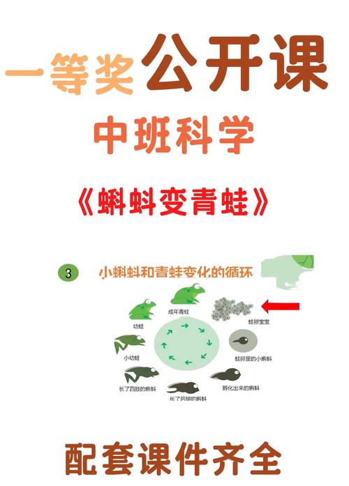 家长必看:5大权威解析4399小蝌蚪高清在线资源与儿童安全使用指南 家长必看:5大权威解析4399小蝌蚪高清在线资源与儿童安全使用指南