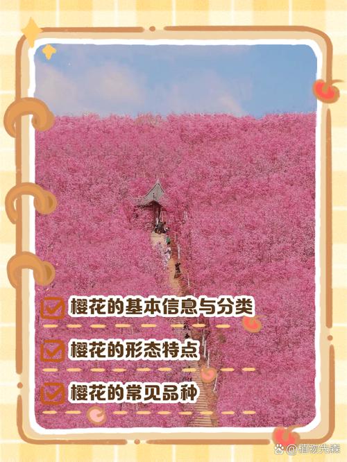这才是樱花社区真正的优势:你只看到樱花?3个细节颠覆认知! 这才是樱花社区真正的优势:你只看到樱花?3个细节颠覆认知!