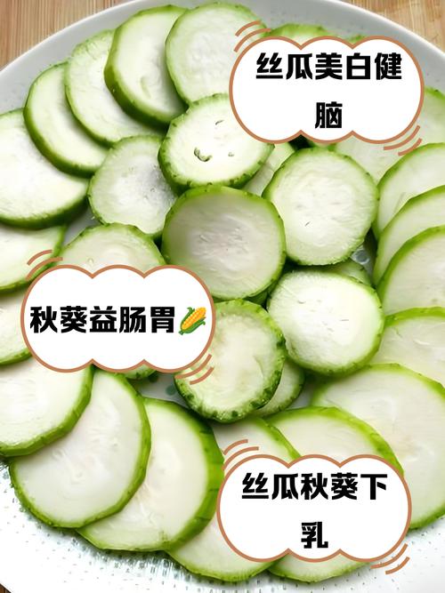 绿巨人黄瓜 vs 丝瓜草莓蝌蚪秋葵:家庭种植选哪款?产量与营养深度解析 绿巨人黄瓜 vs 丝瓜草莓蝌蚪秋葵:家庭种植选哪款?产量与营养深度解析