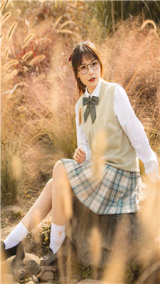 蕾丝草莓榴莲向日葵秋葵大全