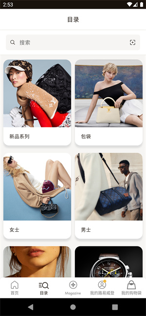 Louis Vuitton