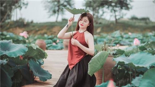 黄瓜番茄草莓免费版