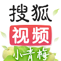 搜狐视频