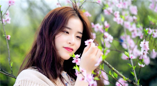 梅花视频二维码图片
