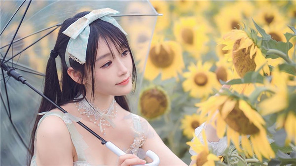 茄子香蕉榴莲草莓丝瓜向日葵小猪苹果