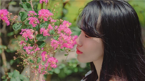 9420WWW在线资源