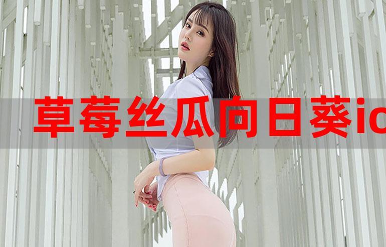 幸福宝向日葵丝瓜草莓