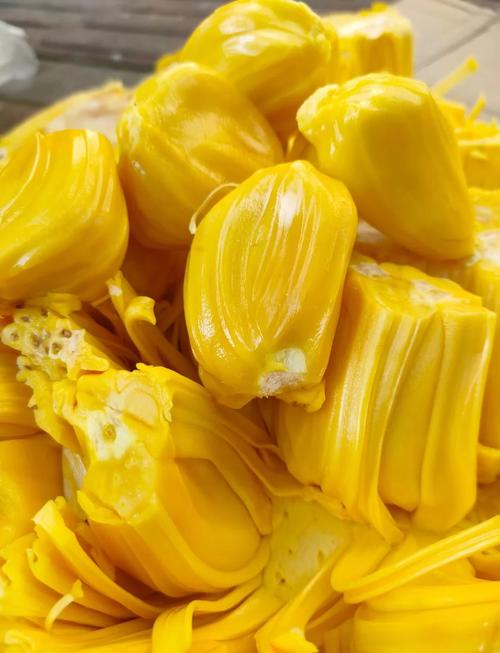 菠萝蜜视频人